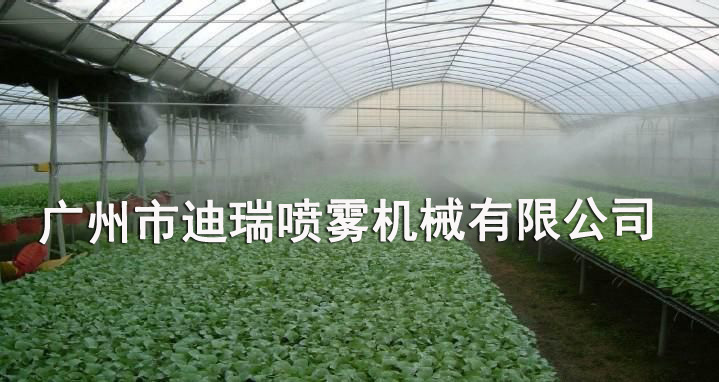 生態植物園噴霧降溫系統